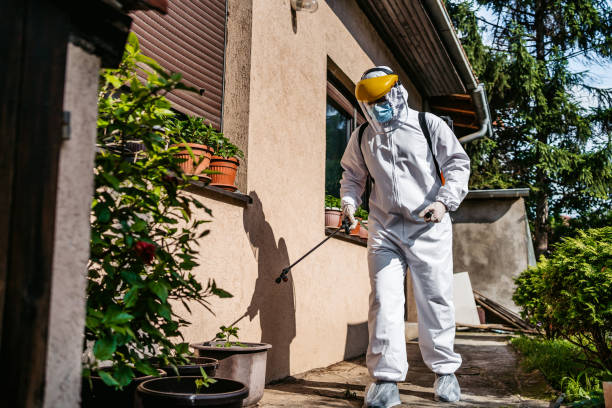 Pest Prevention Services in El Portal, FL
