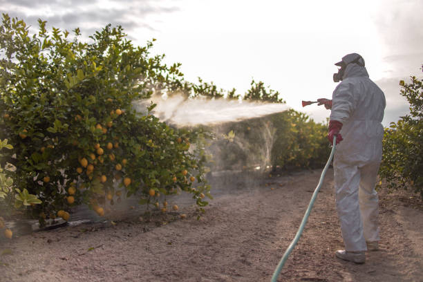 Best Pest Removal Services  in El Portal, FL