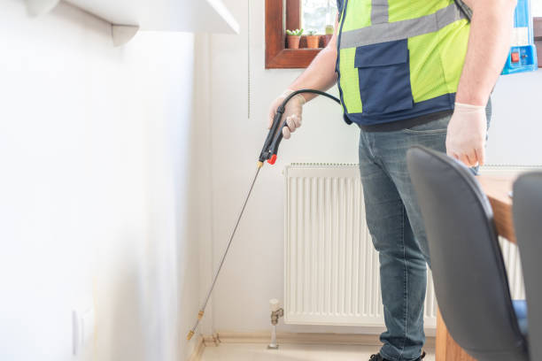 Best Local Pest Control Services  in El Portal, FL