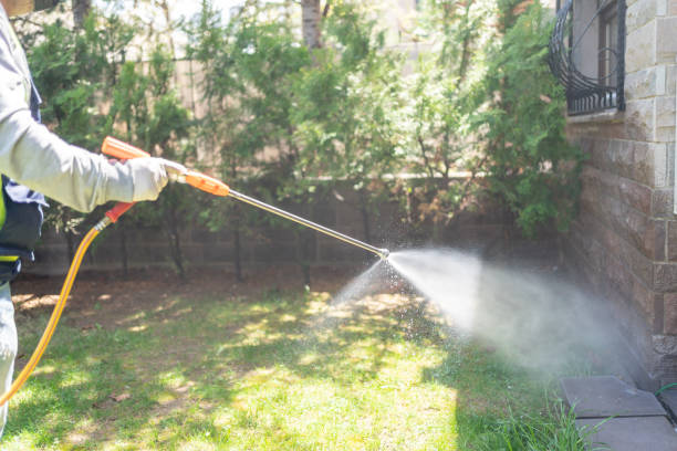 Best Termite Control Services  in El Portal, FL