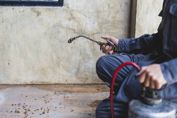 Best Best Pest Control Companies  in El Portal, FL