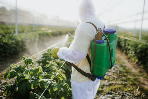 Best Pest Control for Businesses  in El Portal, FL